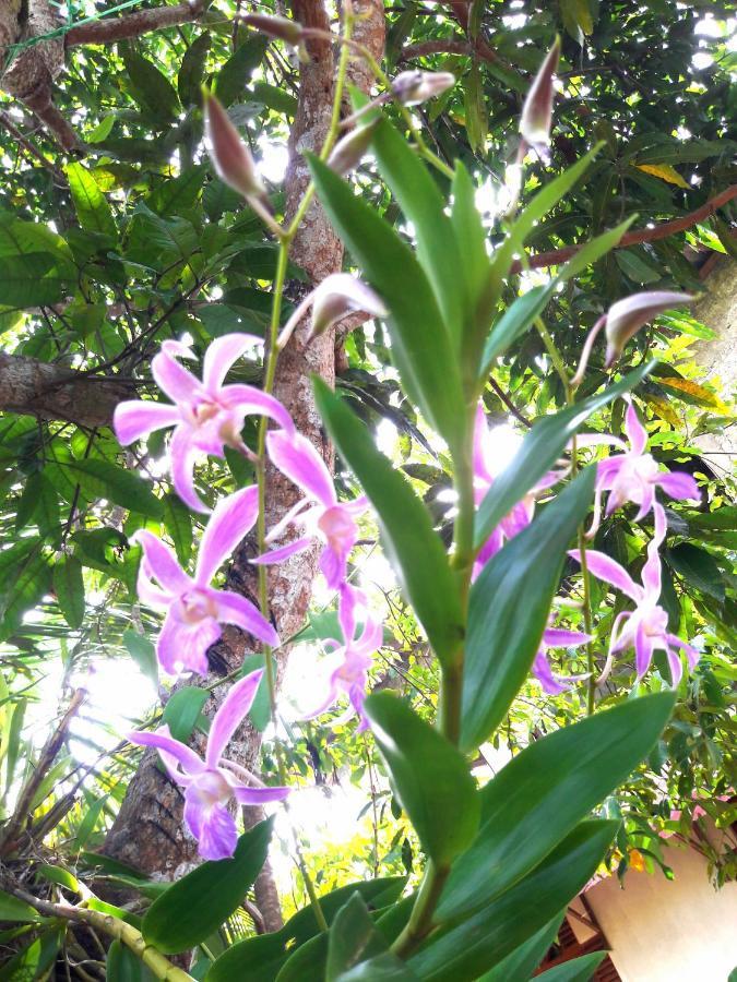 Mango Villa Hikkaduwa Luaran gambar