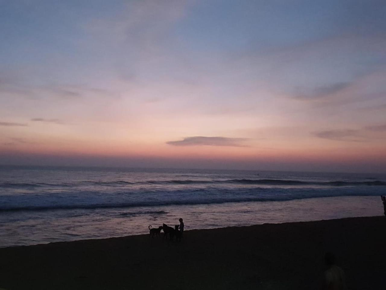 Mango Villa Hikkaduwa Luaran gambar