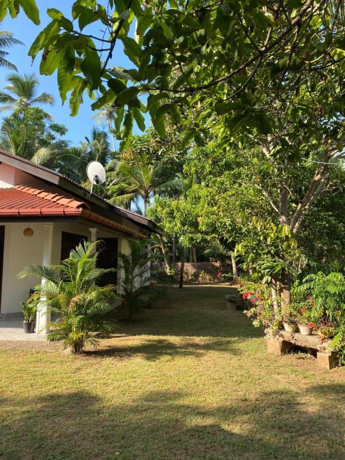 Mango Villa Hikkaduwa Luaran gambar